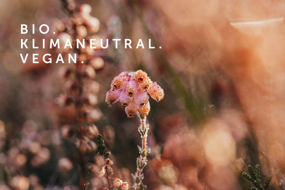 Trawenmoor Trawenmoor