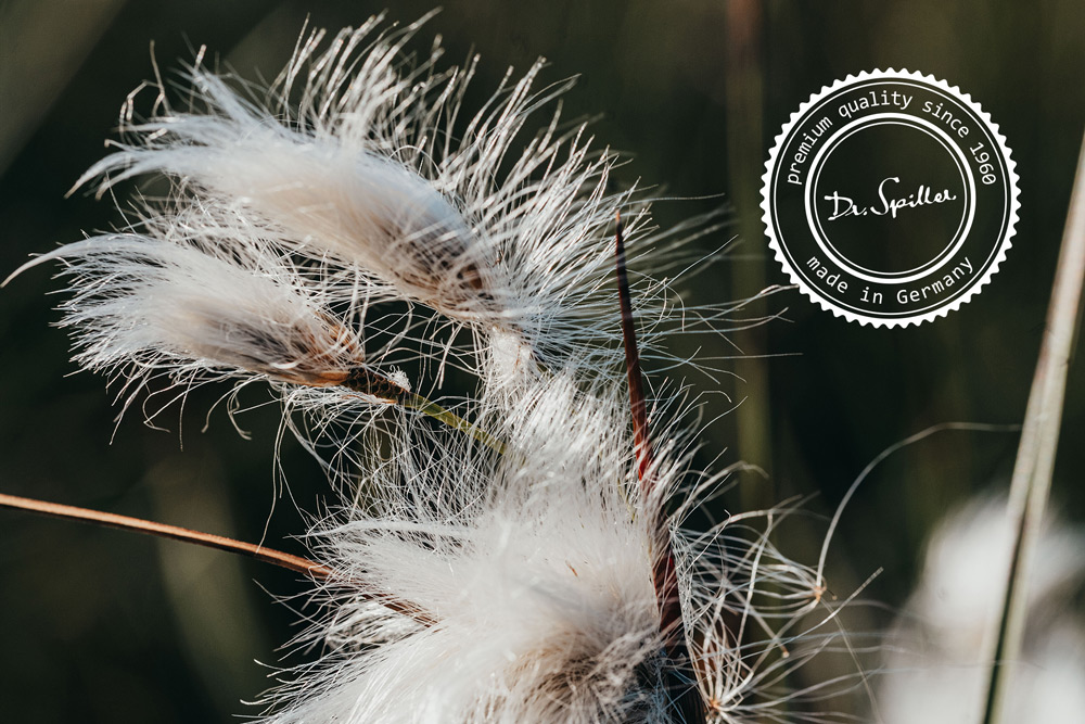 Trawenmoor Trawenmoor